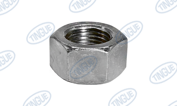HEX NUT
