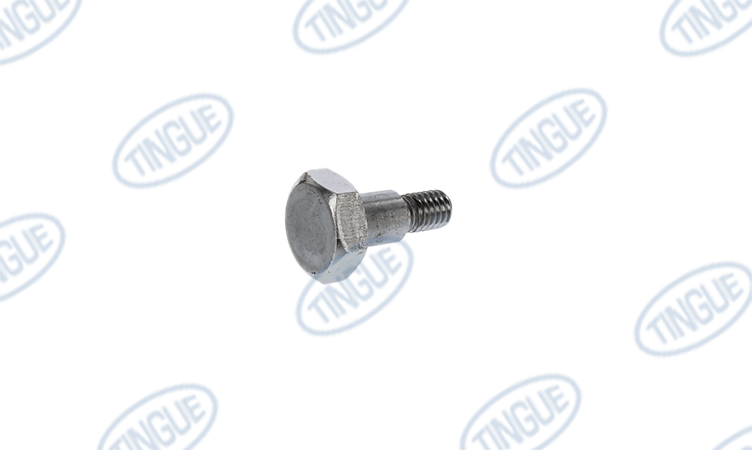 Tingue Parts Store T-6 SCREW