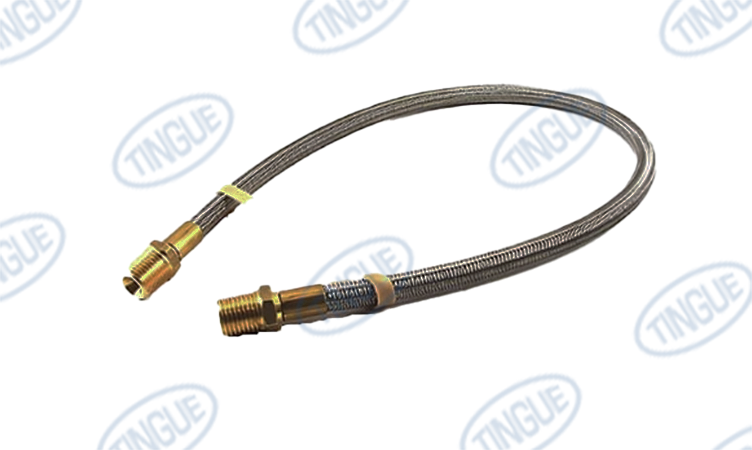 HOSE, STEAM