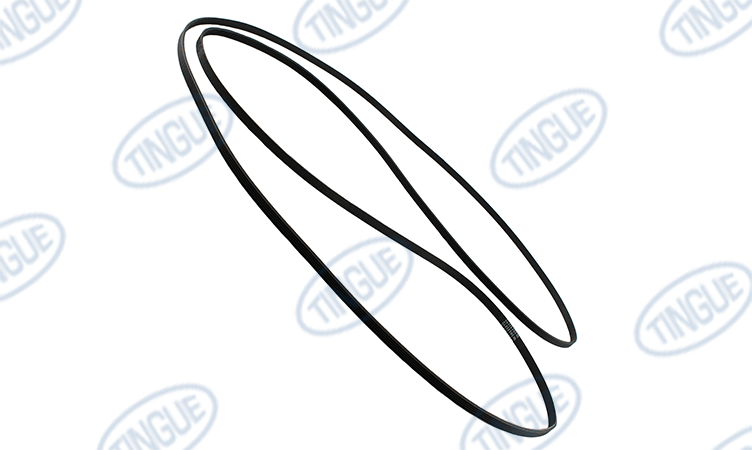 Vega T-8R BELT, DRIVE