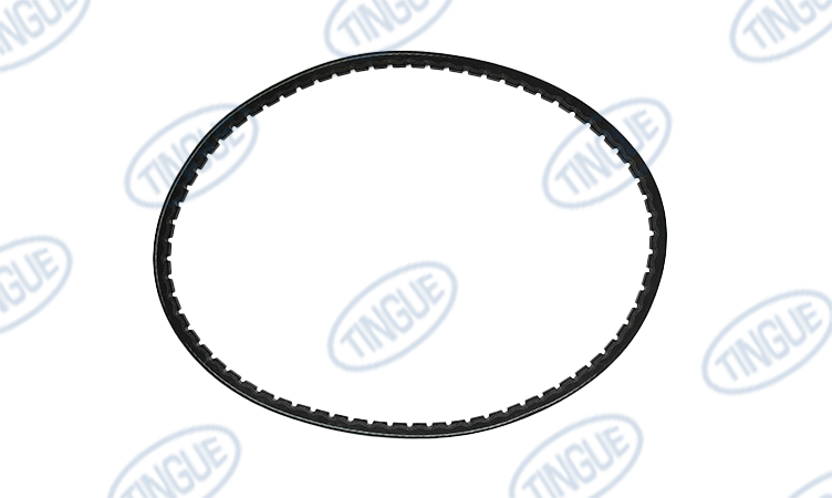 shop.tingue.com T-11 BELT