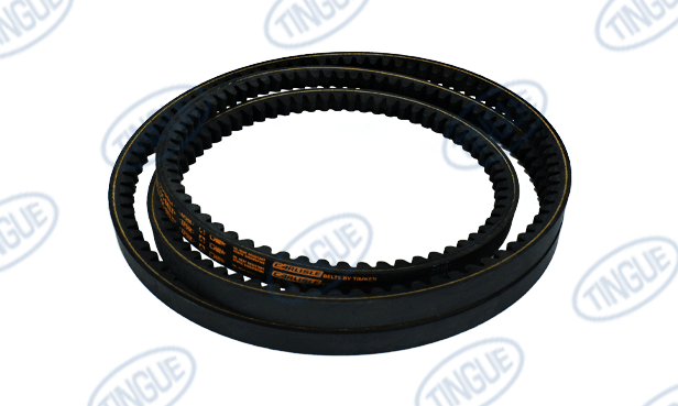 shop.tingue.com T-11 BELT