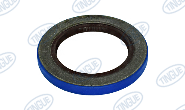Tingue Brown T-1 SEALS AND BEARING FOR IRON MAN GEARBOX 10HP