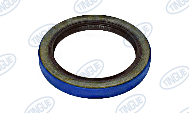 Tingue Brown T-1 SEALS AND BEARING FOR IRON MAN GEARBOX 10HP