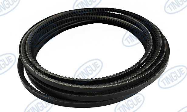 shop.tingue.com T-11 BELT, SET OF 3