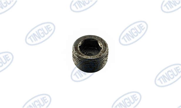 shop.tingue.com T-11 3/4 HEX PIPE PLUG
