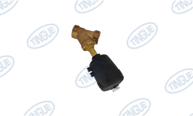 Braun T-11 VALVE 2"