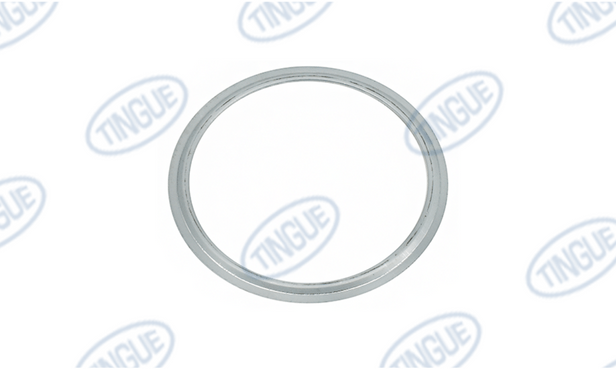 shop.tingue.com T-11 SEAL, BEARING 169MM ID