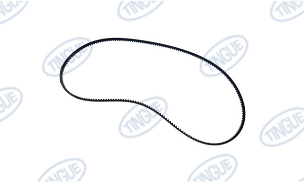 Braun T-11 BELT, POLYCHAIN