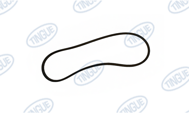 shop.tingue.com T-11 BELT