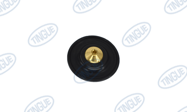 Jensen T-11 REBUID KIT, VALVE