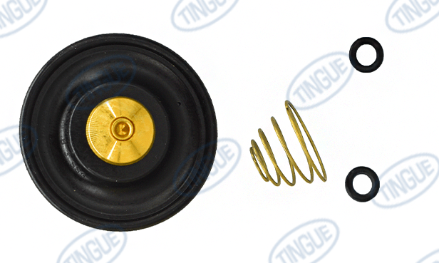 shop.tingue.com T-11 REPAIR KIT, VALVE