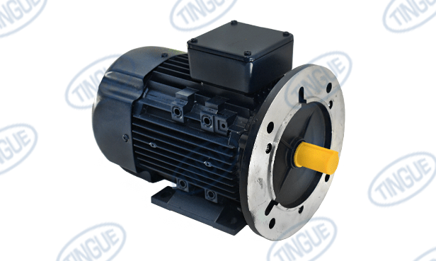 shop.tingue.com T-11 MOTOR .75KW