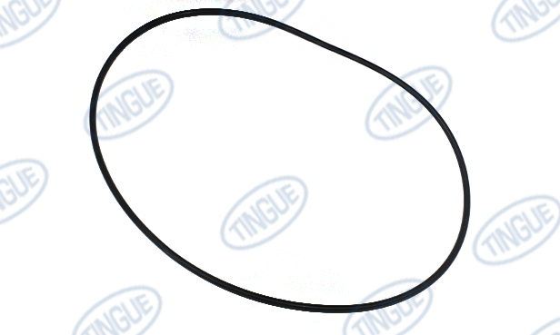 O-RING