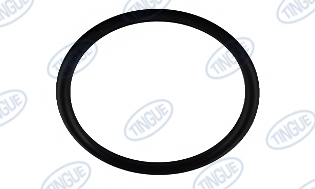 Lavatec T-11 O-RING, RUBBER RING FOR ENCODER KIT