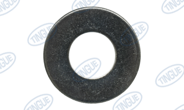 Tingue Parts Store T-8 WASHER