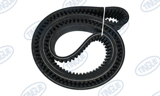 Tingue Brown T-11 BELT