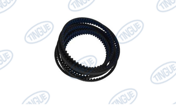 BELT, POLYCHAIN