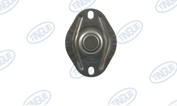 shop.tingue.com T-11 MANUAL RESET FOR BURNER 330 DEGREES LIMIT SWITCH