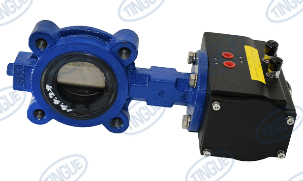 shop.tingue.com T-11 2-1/2" BUTTERFLY VALVE ASSEMBLY (Z452 / 450LB & Z462 / 675LB)