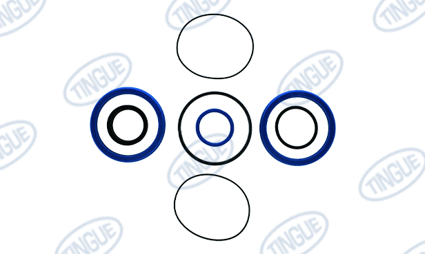 Tingue Brown T-11 REBUILD KIT,  LIFTING CYLINDER