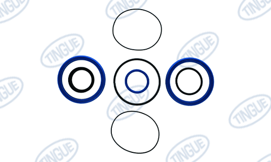 Tingue Brown T-11 REBUILD KIT,  LIFTING CYLINDER