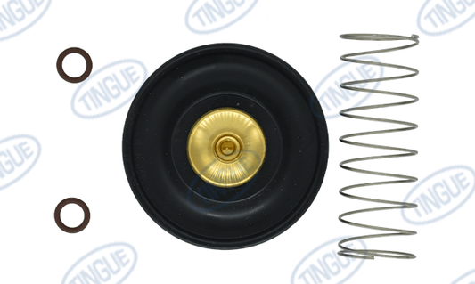 Tingue Brown T-11 REPAIR KIT