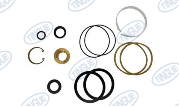 Chicago Dryer T-11 REPAIR KIT, AIR CYLINDER