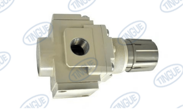 Chicago Dryer T-11 REGULATOR, BACK FLOW